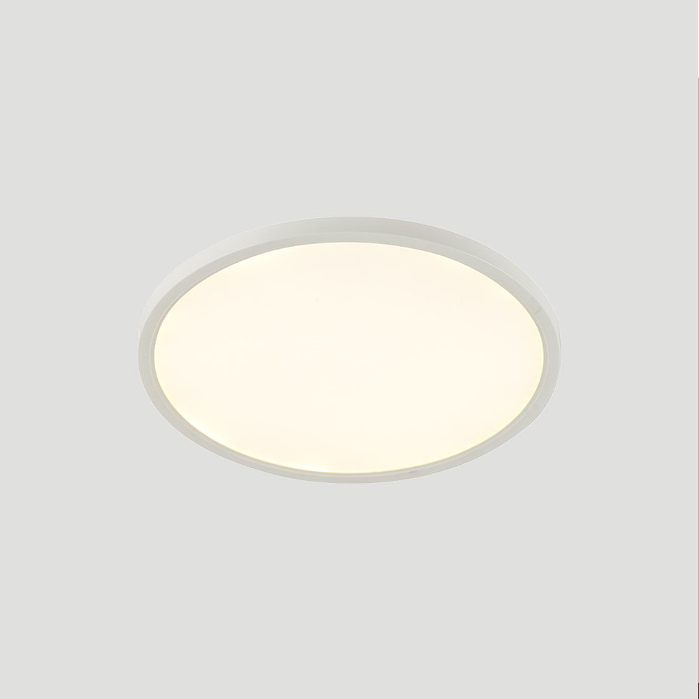 Contemporary Minimalist White LED Ceiling Light For Living Room