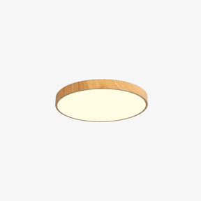 Modern Contemporary LED Lumianaire Wood Ceiling Light for Hallway Living Room