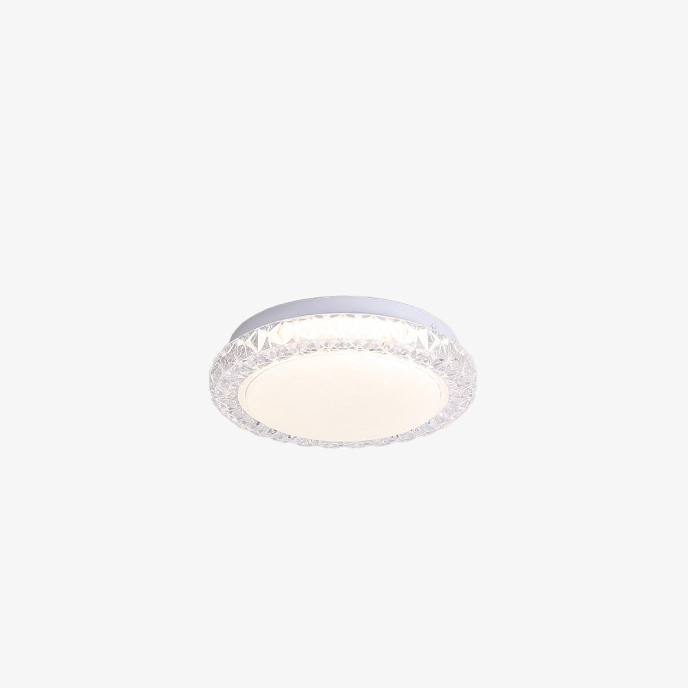 Acrylic Iron Dimmable LED Flush Mount Ceiling Lights for Living room