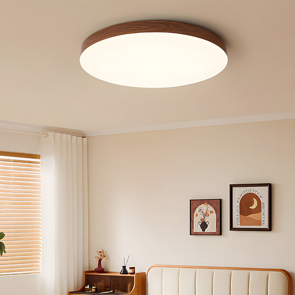 Close-to-Ceiling Lights Round LED Ceiling Lamp