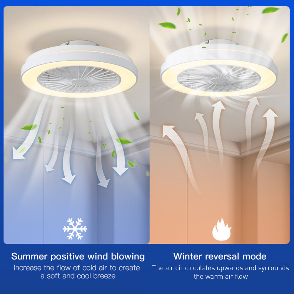 Modern LED 6-Speed Adjustable Ceiling Fan Light, Dimmable