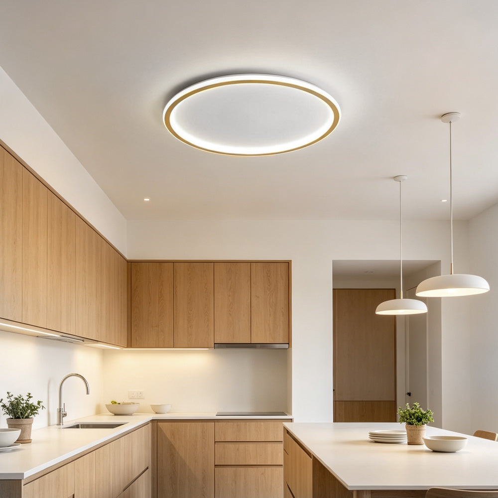 Orion Slim LED Round Ceiling Light