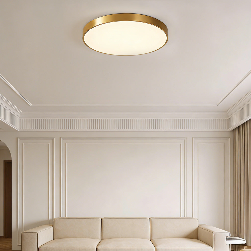 Circular Flush Mount LED Ceiling Lights