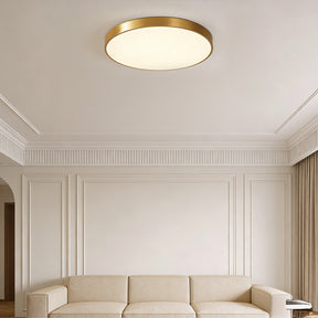 Circular Flush Mount LED Ceiling Lights