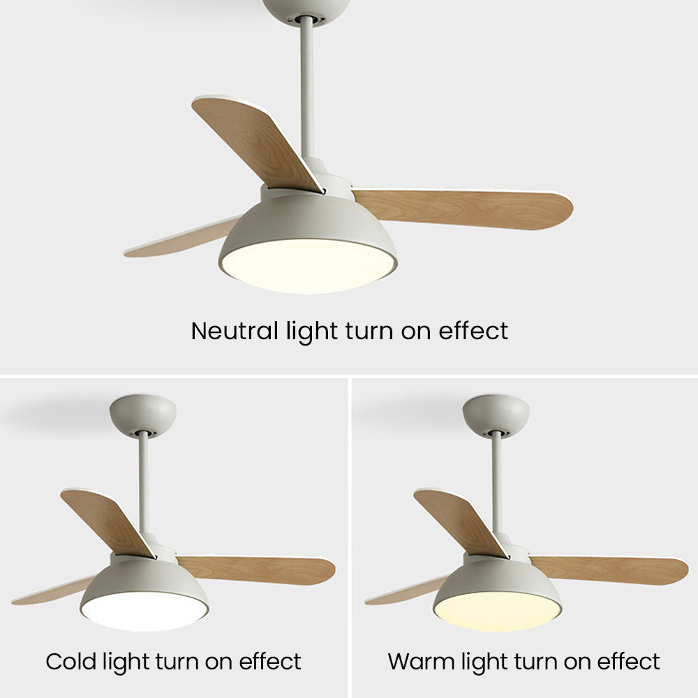 Nordic Modern Simple Flush Ceiling Fan With LED Lighting