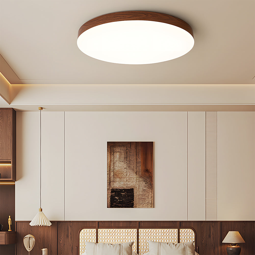 Close-to-Ceiling Lights Round LED Ceiling Lamp