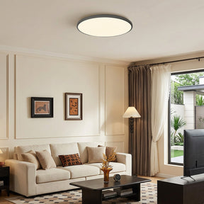 Orion Round Flush Mount Ceiling Light