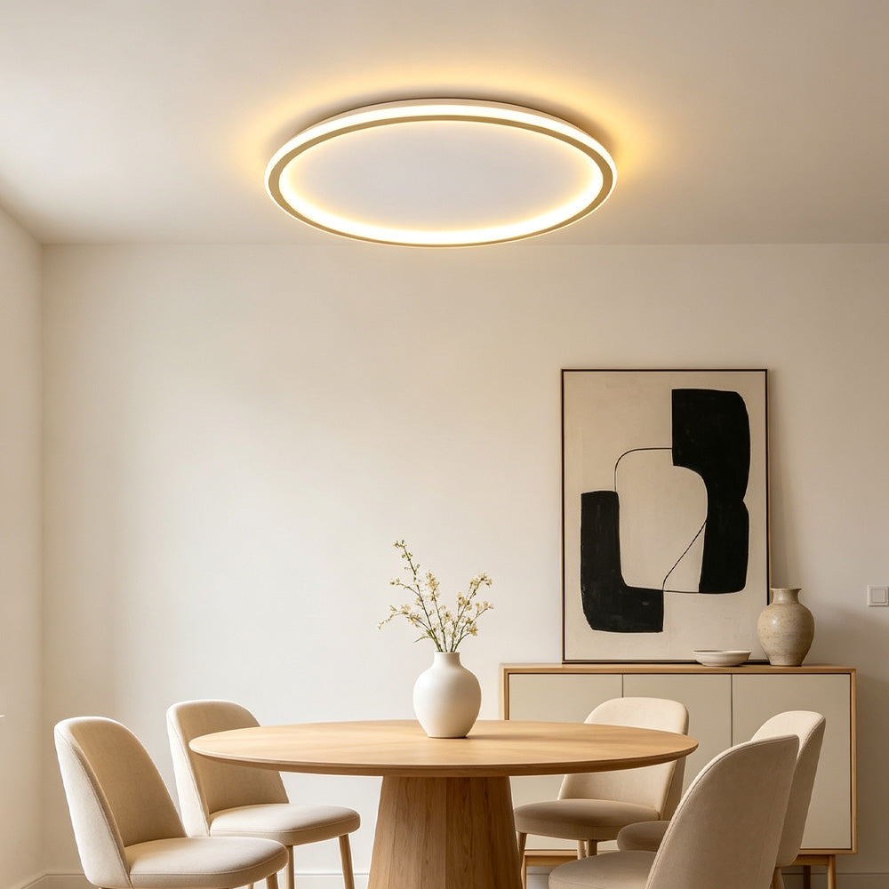 Orion Slim LED Round Ceiling Light