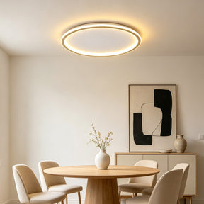 Orion Slim LED Round Ceiling Light