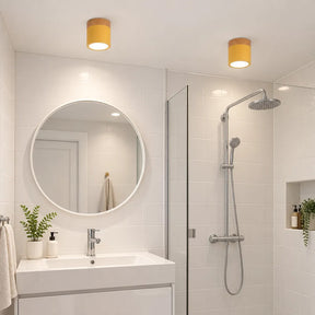 Aria Wood LED Spot Downlight