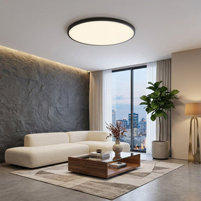 Orion Round Flush Mount Ceiling Light