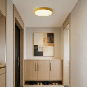Circular Flush Mount LED Ceiling Lights
