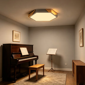 Modern Flush Mount Hexagonal LED Ceiling Lights for Hallway