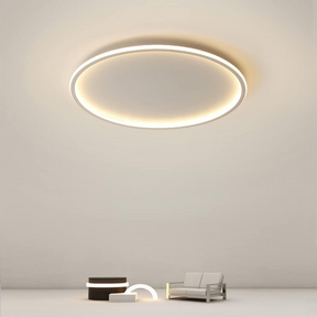 Modern Ultra-thin Round Low Ceiling Light