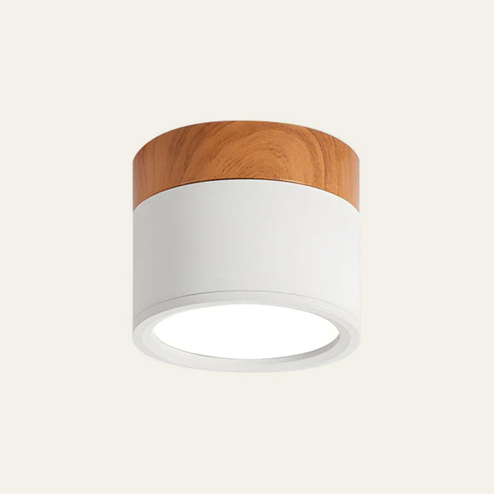 Cylinder Small Flush Ceiling Lights