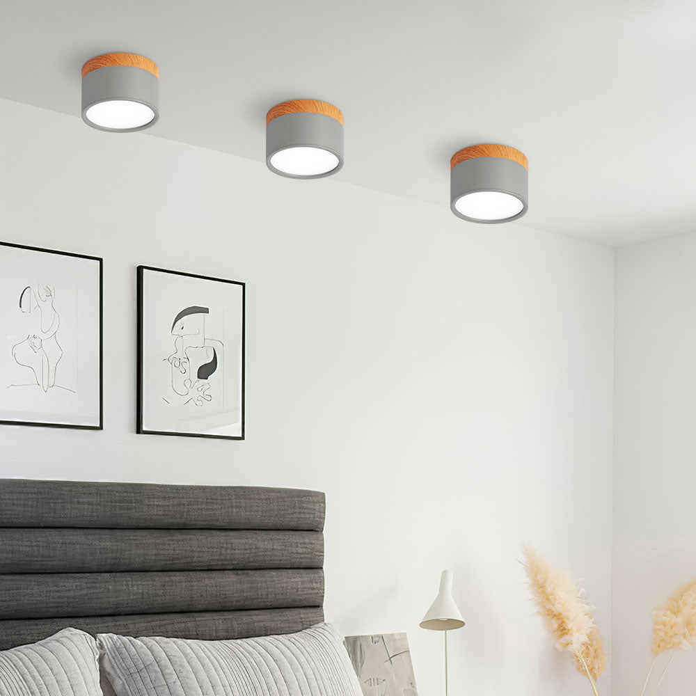 Cylinder Small Flush Ceiling Lights