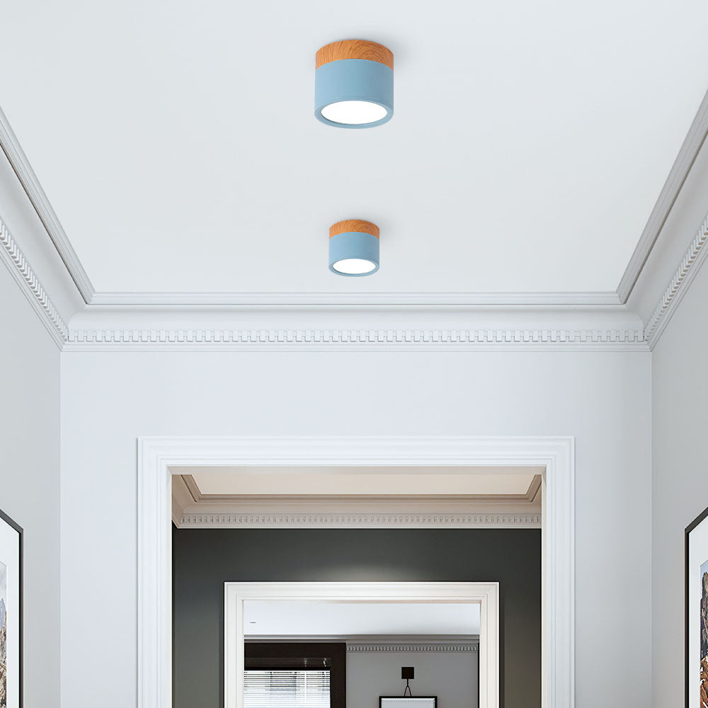 Cylinder Small Flush Ceiling Lights