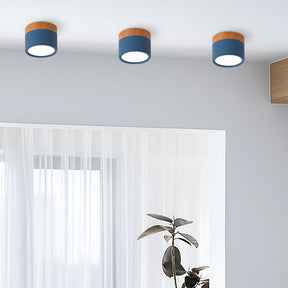 Cylinder Small Flush Ceiling Lights