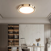 LED Modern Luxury Simple Ceiling Lights