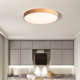 Modern Concise Style Wrought Iron Ceiling Light