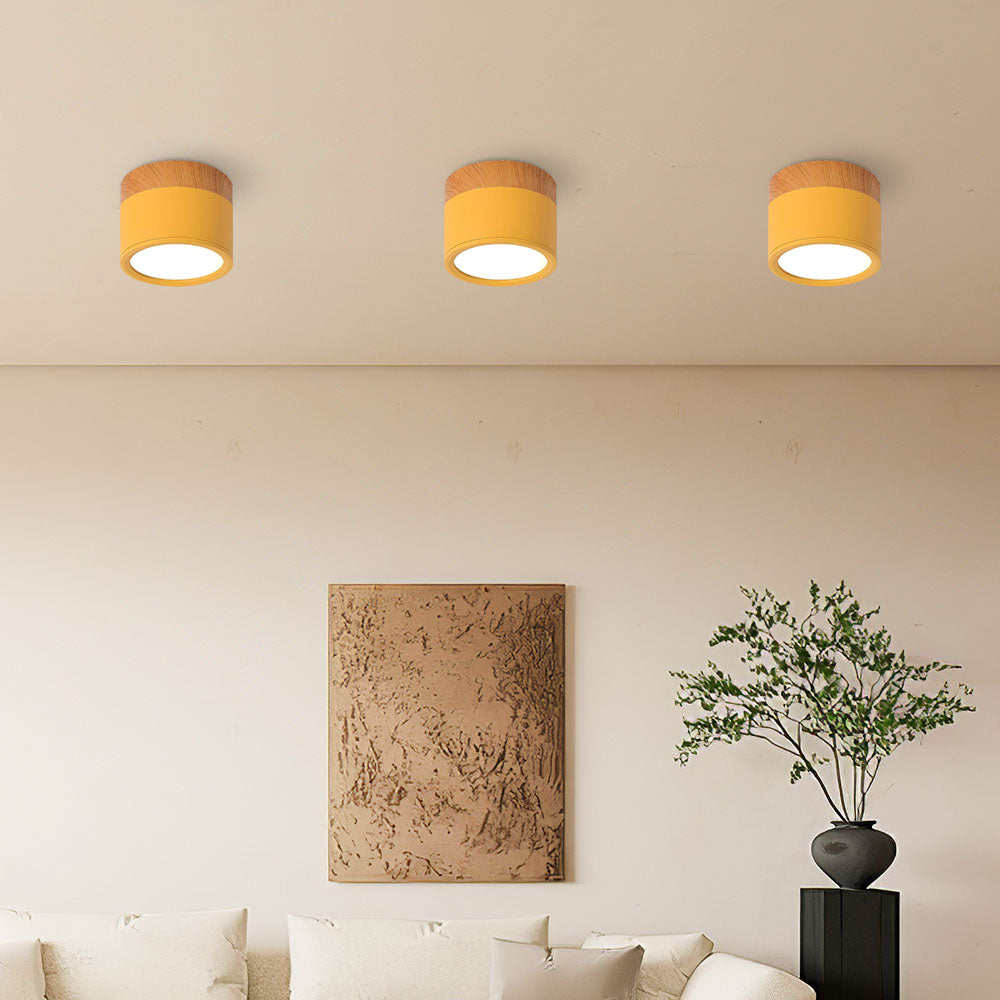 Cylinder Small Flush Ceiling Lights