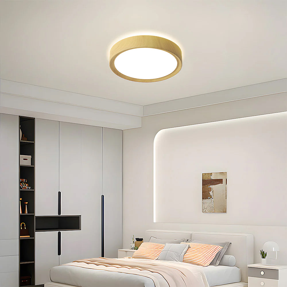 Modern Minimalist Round Wood Colour Iron LED Ceiling Lights