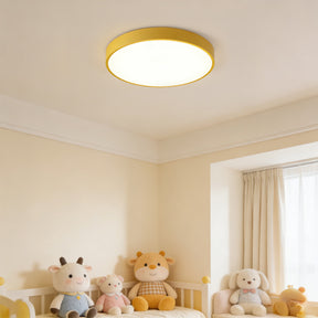 Circular Flush Mount LED Ceiling Lights