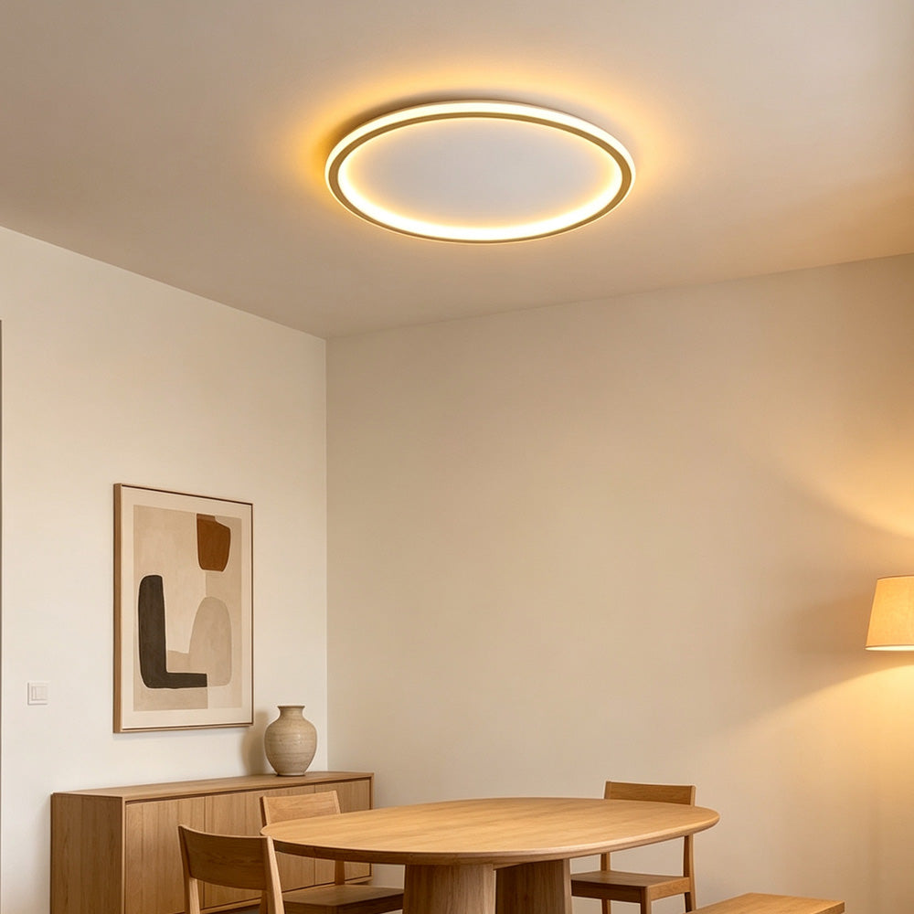 Orion Slim LED Round Ceiling Light