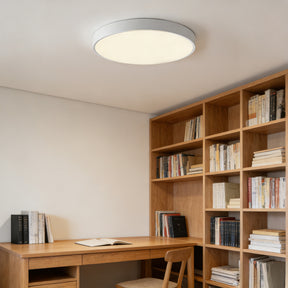 Circular Flush Mount LED Ceiling Lights