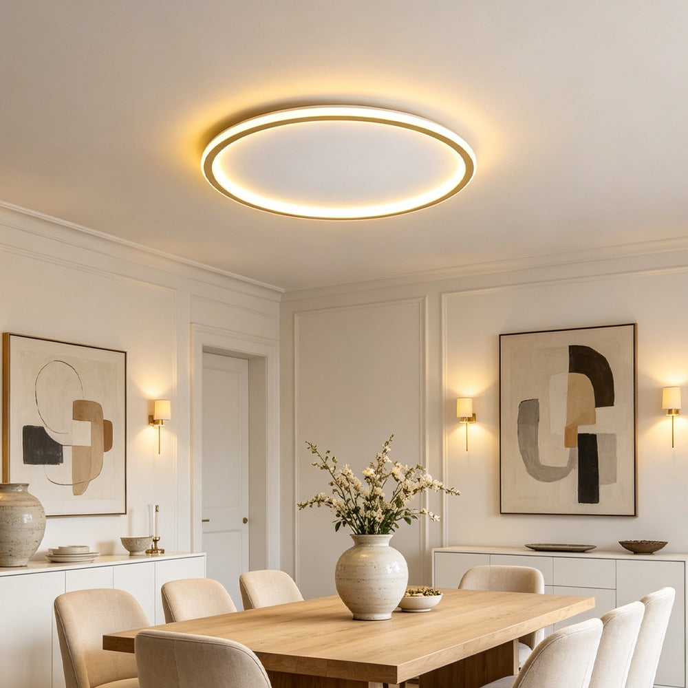 Orion Slim LED Round Ceiling Light