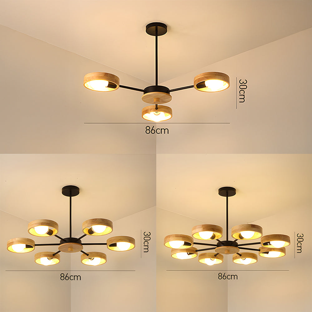Modern Eco-friendly Ceiling Lamp For Living Room