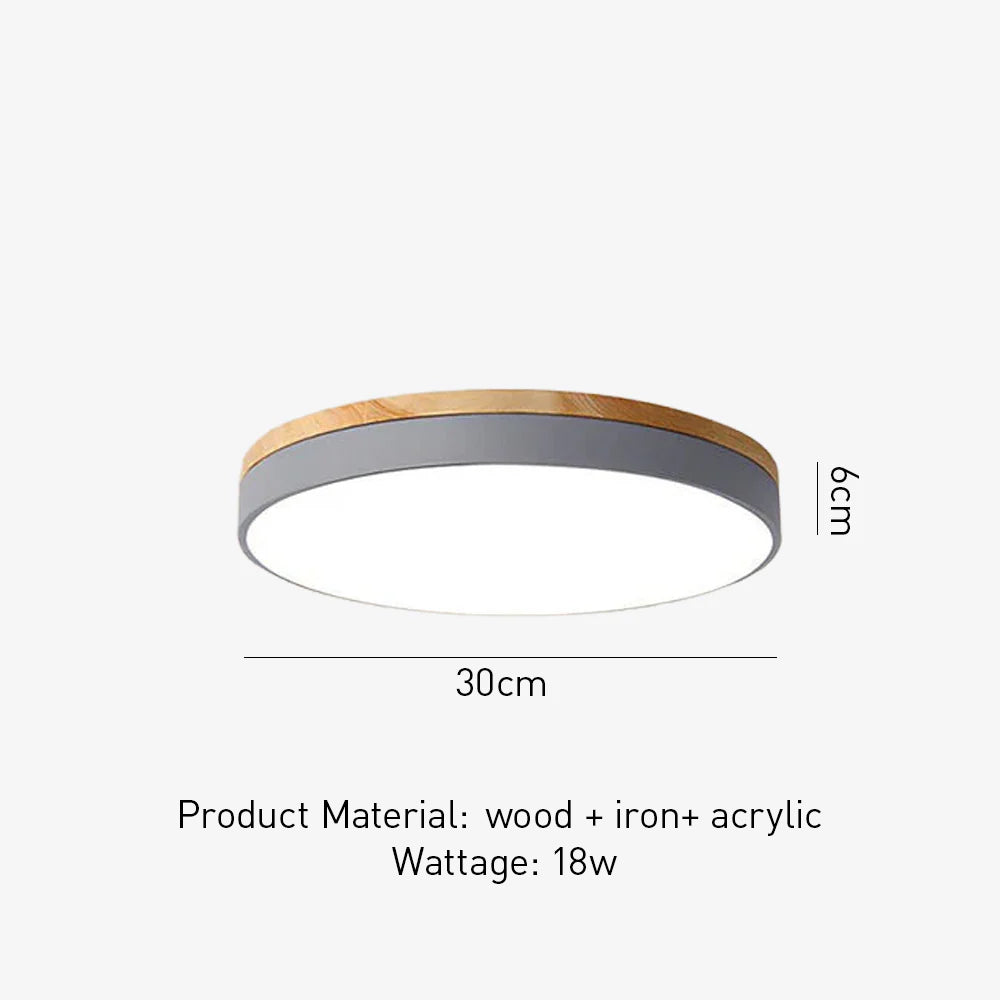 Living room modern led ceiling lights