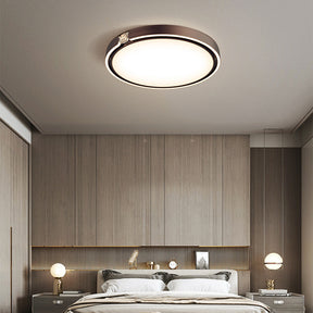 LED Modern Luxury Simple Ceiling Lights