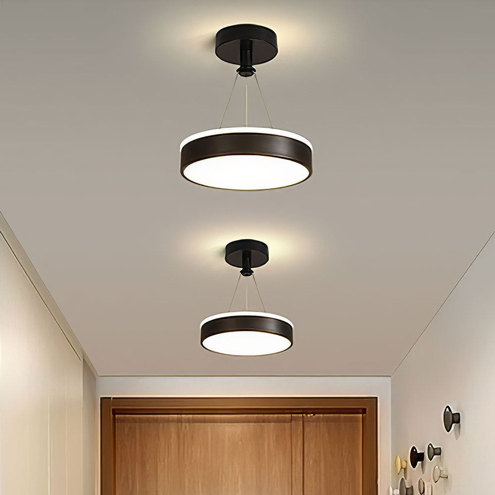 Modern Metal LED Pendant Ceiling Lights For Hallway