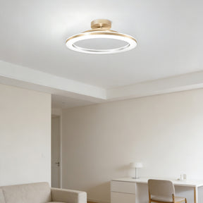 Modern Iron Hallway LED Ceiling Light