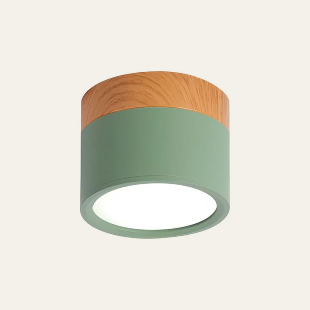 Cylinder Small Flush Ceiling Lights