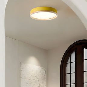 Modern LED Ceiling Lamp Energy Saving Led Lights Ceiling