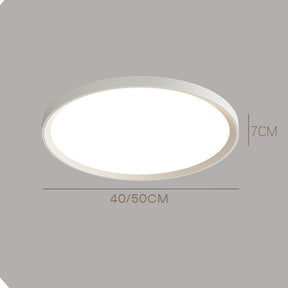 Modern Minimalist Nordic Iron Living Room LED Ceiling Light