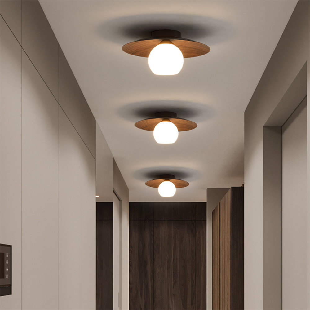 Modern Minimalist Entrance Ceiling Lights