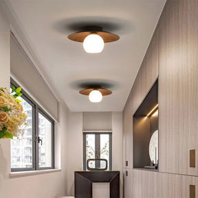 Modern Semi Flush Ceiling Lights