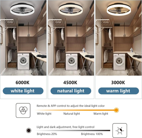 Modern Low Profile Ceiling Fan with Light 6 Speeds Reversible DC Motor Fan Light