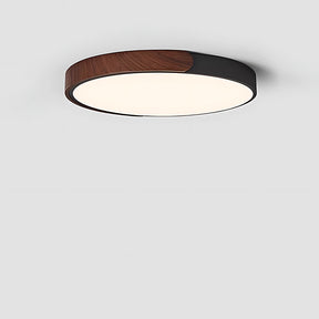Flush Mount LED Ceiling Light For Living Room Bedroom, Circular Shape