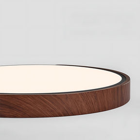 Flush Mount LED Ceiling Light For Living Room Bedroom, Circular Shape
