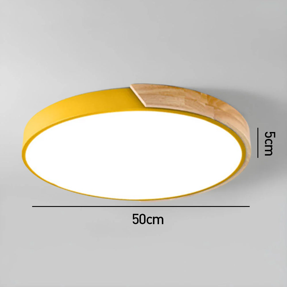 Modern Minimalist Round Flush LED Ceiling Lights