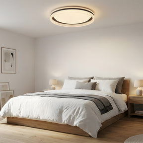 Modern Minimalist Luxury Ceiling Lights for Living Room, Bedroom
