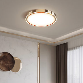 LED Modern Luxury Simple Ceiling Lights