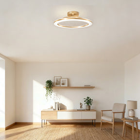 Modern Iron Hallway LED Ceiling Light