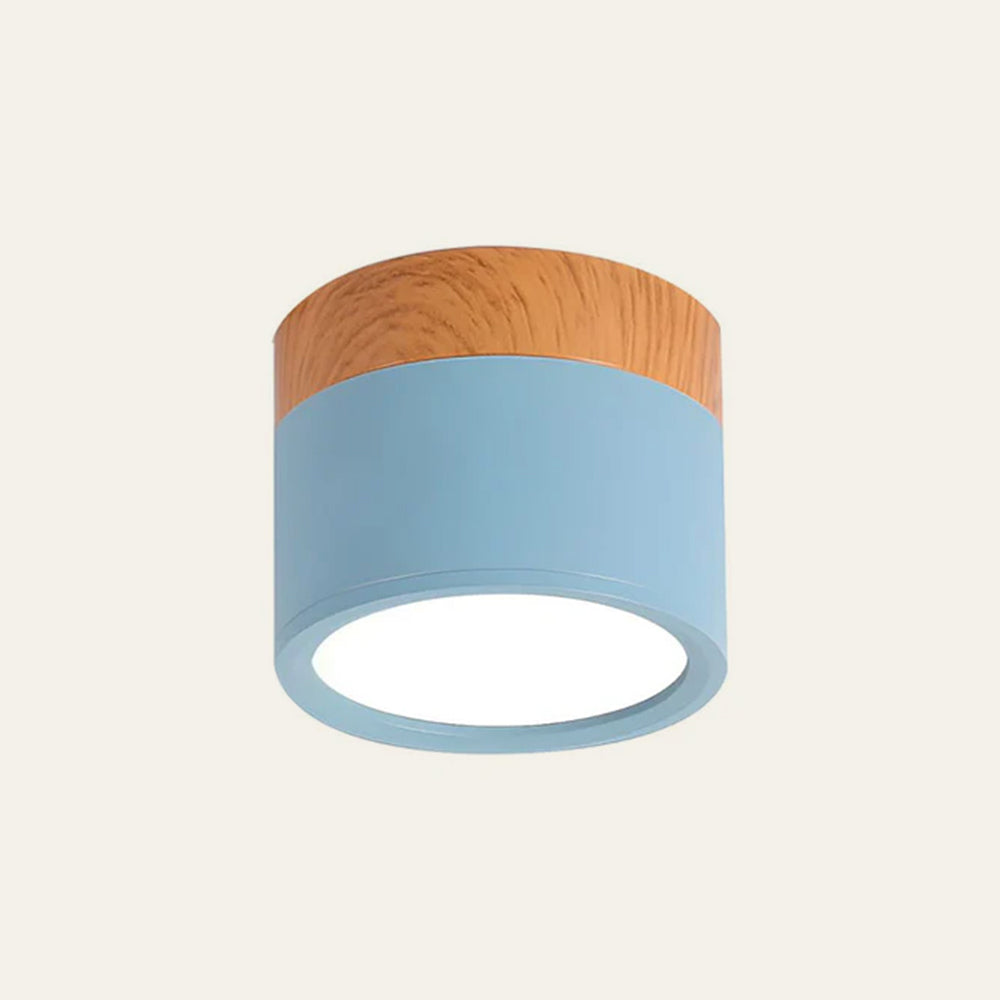 Cylinder Small Flush Ceiling Lights