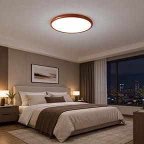Modern Minimalism Acrylic LED Ceiling Lights for Bedroom