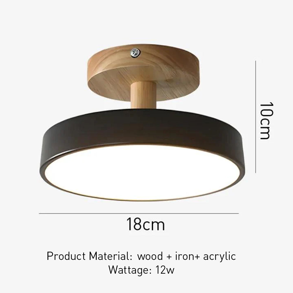 Living room modern led ceiling lights